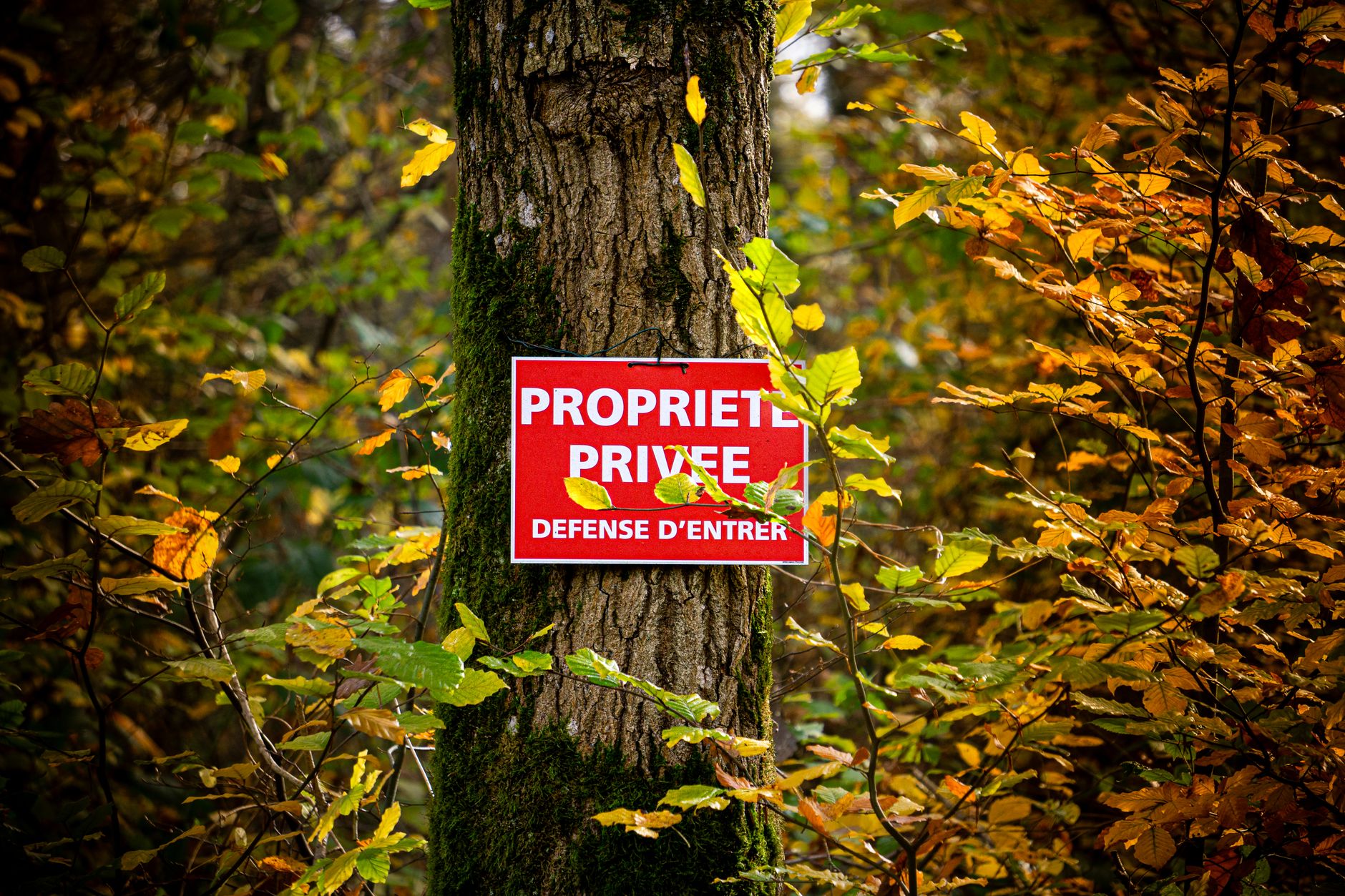 Détective privé à Mamoudzou